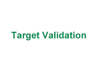 Target Validation